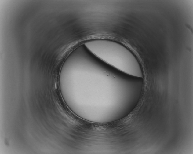 X0000100370062200806060812