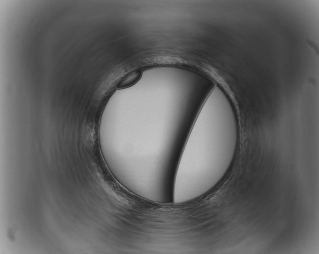 X0000100370063200806060812