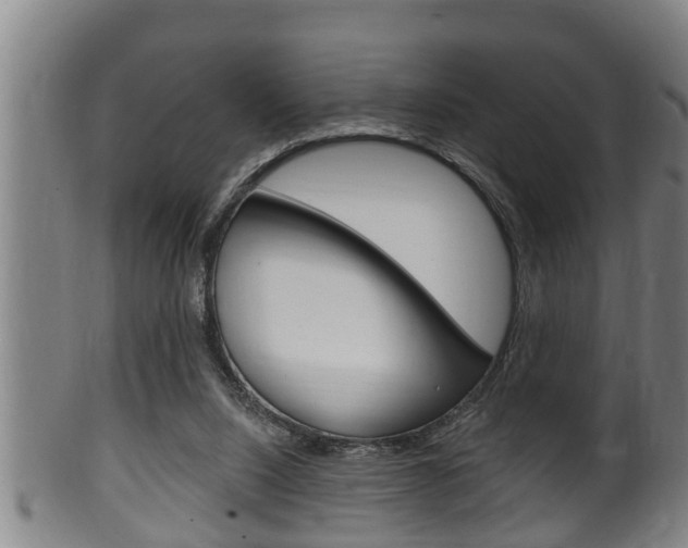X0000100370064200806060812