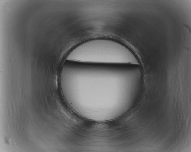 X0000100370067200806060812