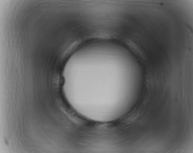 X0000100370072200806060812