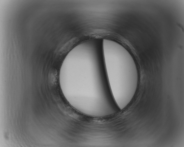 X0000100370073200806060812