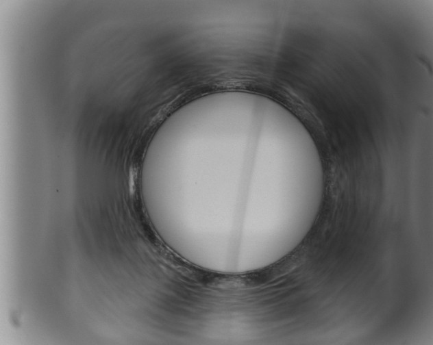 X0000100370075200806060812
