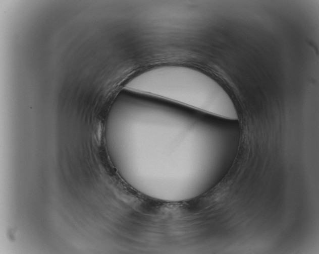 X0000100370076200806060812