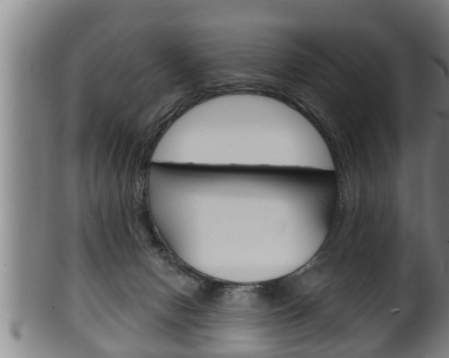 X0000100370078200806060812