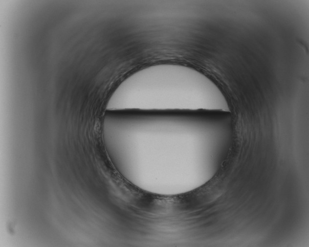 X0000100370079200806060812