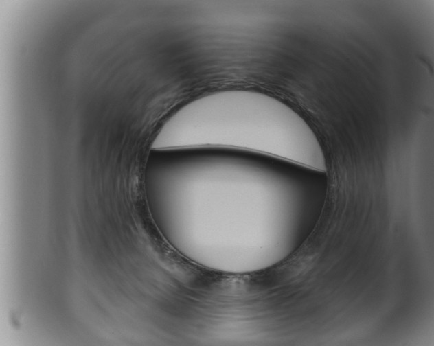 X0000100370080200806060812