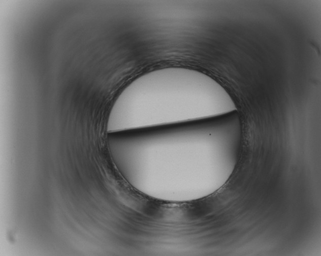 X0000100370082200806060812