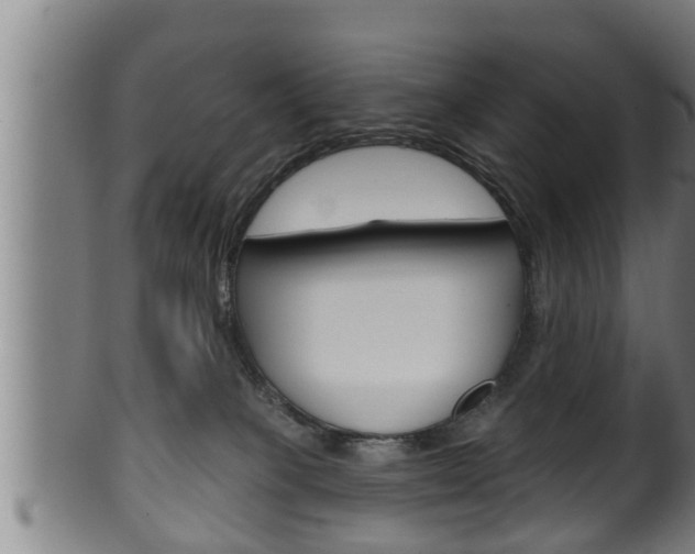 X0000100370085200806060812