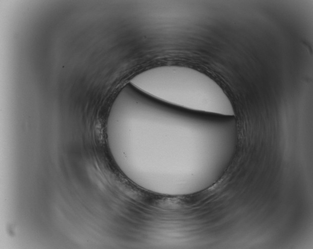 X0000100370086200806060812
