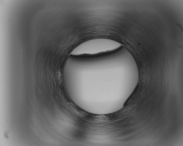 X0000100370087200806060813