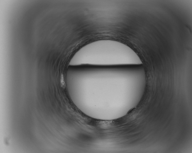 X0000100370089200806060813