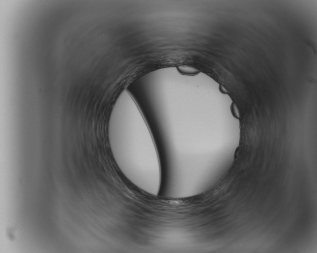 X0000100370091200806060813