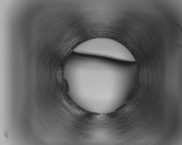 X0000100370092200806060813