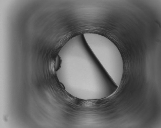 X0000100370094200806060813