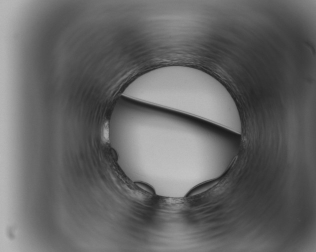 X0000100370095200806060813