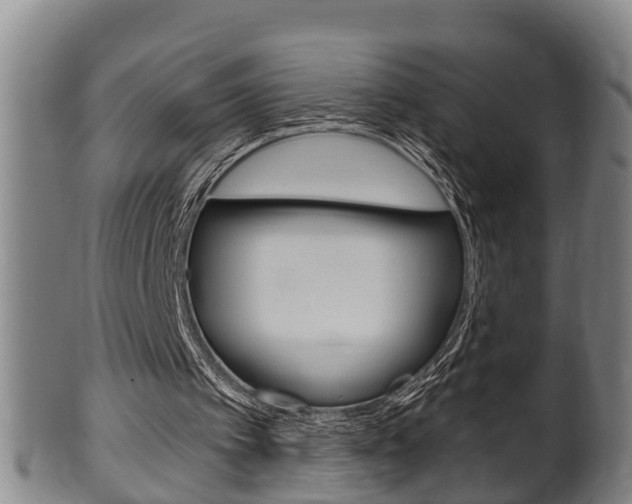 X0000100370097200806060812