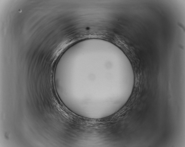 X0000100370098200806060812