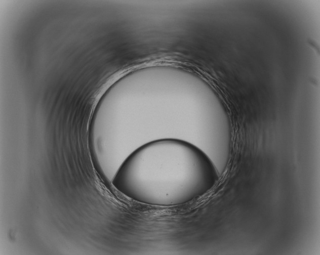 X0000100370100200806060812