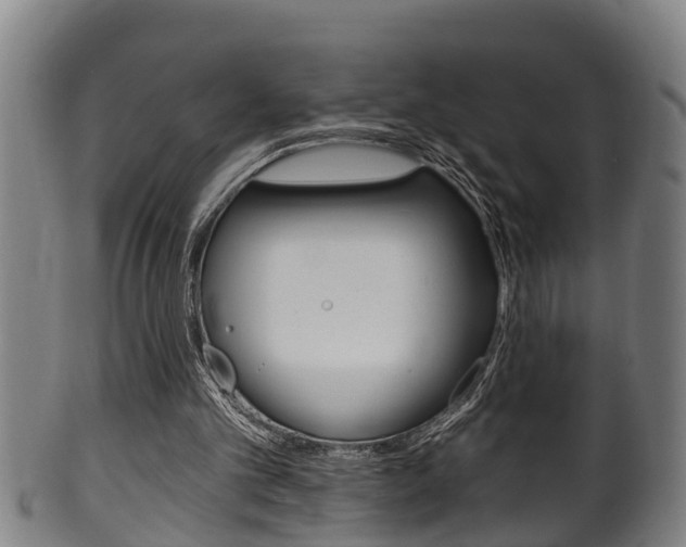X0000100370101200806060812