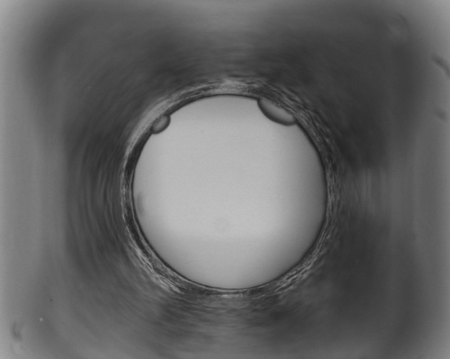 X0000100370102200806060812