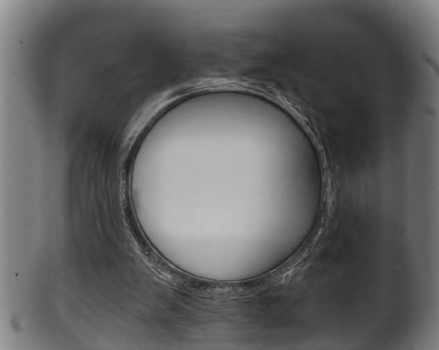 X0000100370103200806060812