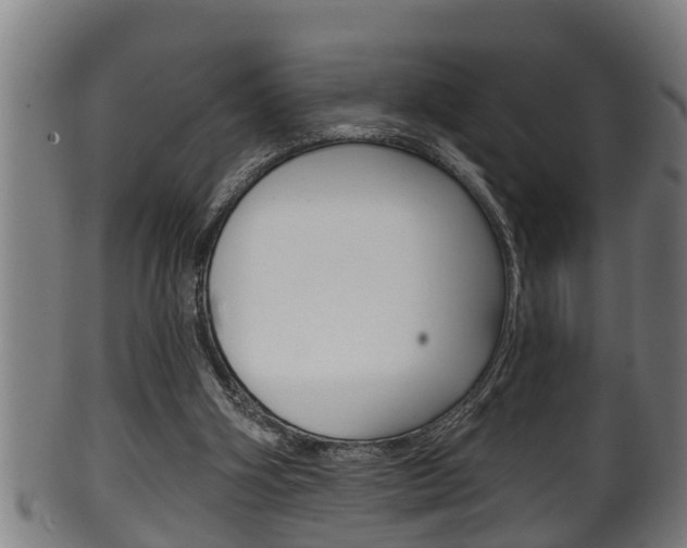 X0000100370106200806060812