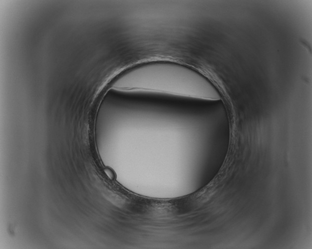 X0000100370108200806060812
