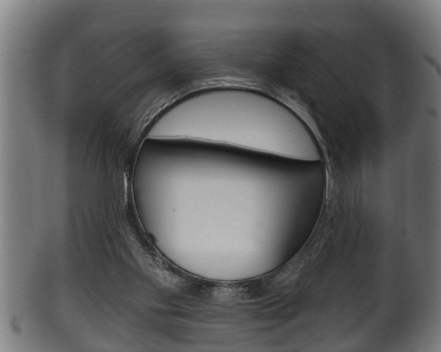 X0000100370109200806060812
