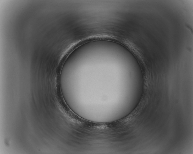 X0000100370112200806060812