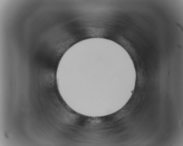 X0000100370113200806060812
