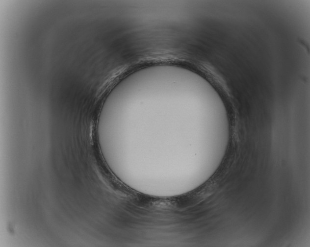 X0000100370115200806060811