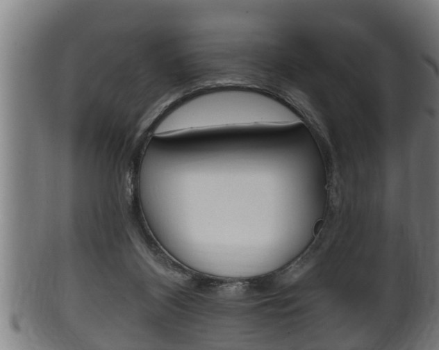 X0000100370116200806060811