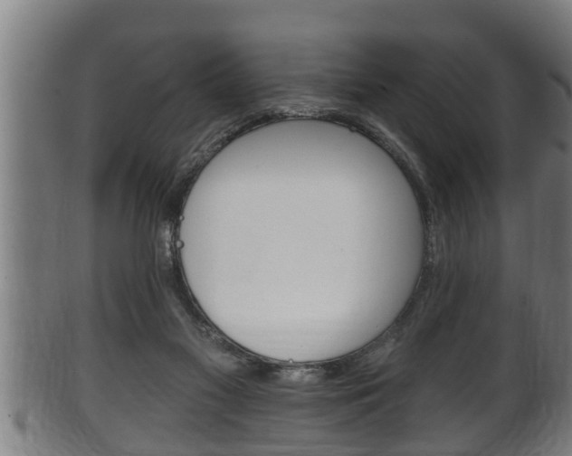 X0000100370117200806060811
