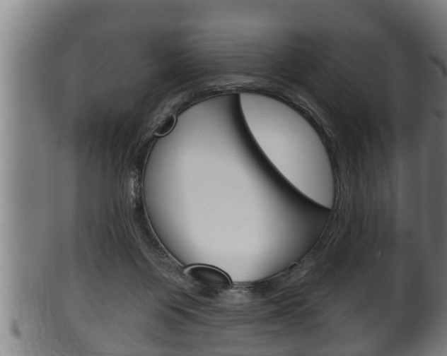 X0000100370119200806060811