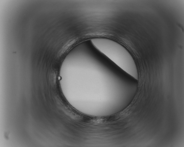 X0000100370120200806060811