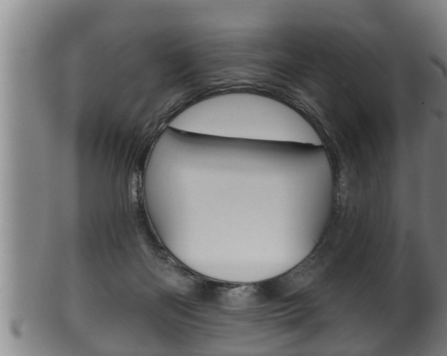 X0000100370122200806060811