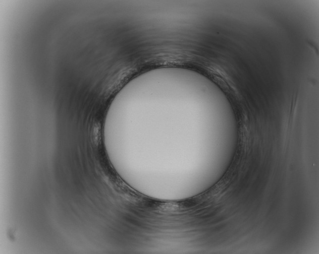 X0000100370123200806060811