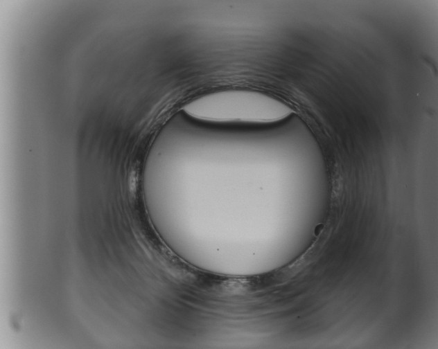X0000100370124200806060811