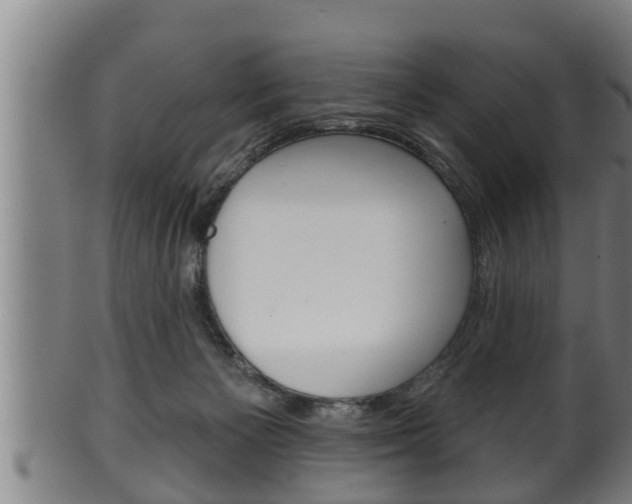 X0000100370125200806060811