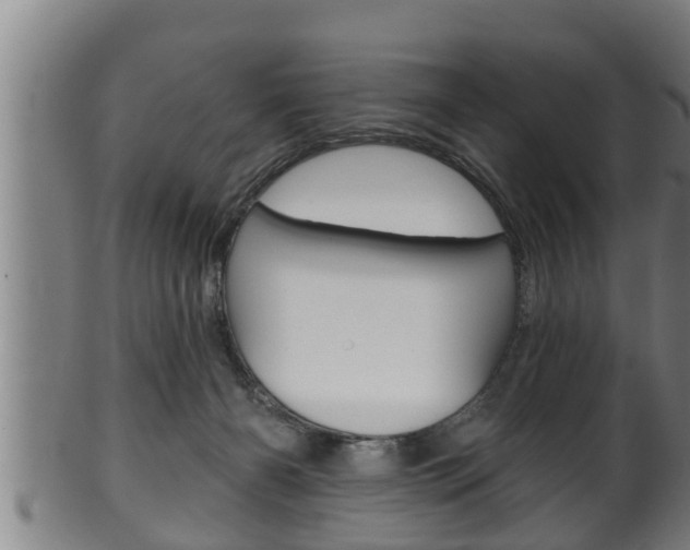 X0000100370126200806060811