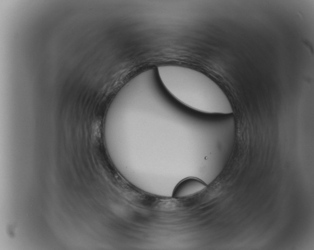 X0000100370127200806060811