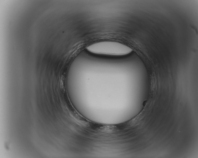 X0000100370128200806060811