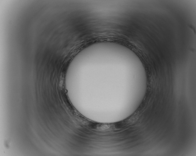 X0000100370129200806060811