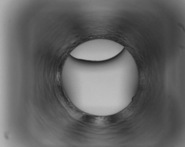X0000100370130200806060811