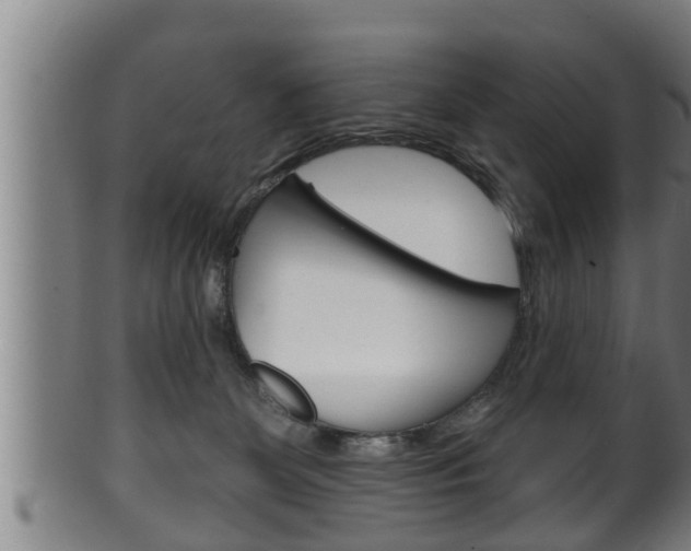 X0000100370131200806060811