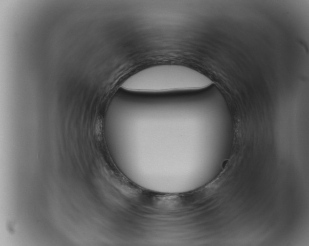 X0000100370132200806060811