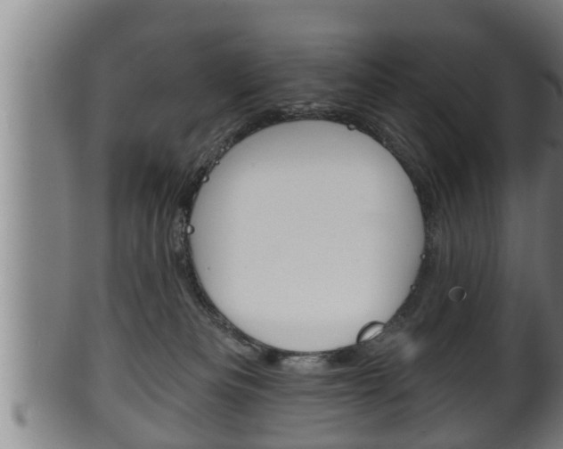X0000100370133200806060811