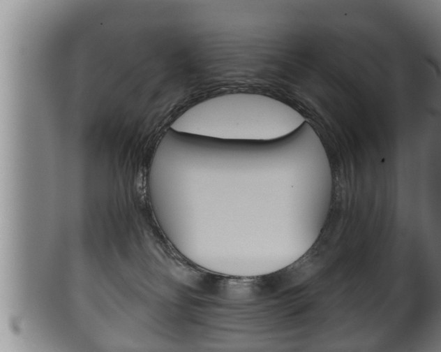X0000100370134200806060811