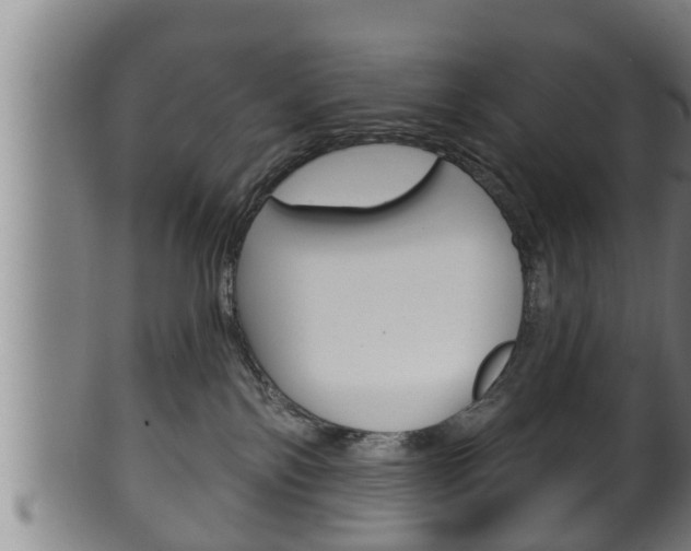 X0000100370138200806060811